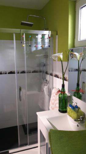 Koupelna v ubytování Apartamentos Labana