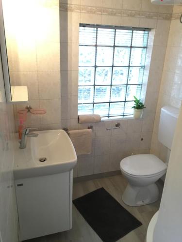 Studio apartment Martina ---80m from the sea---