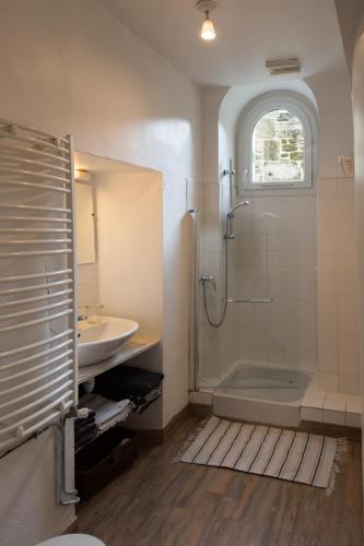 une salle de bain avec douche et lavabo dans l'établissement Les Chambres de Lourmel, à Pontivy