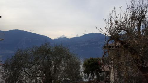 Paisaje cerca de este hotel