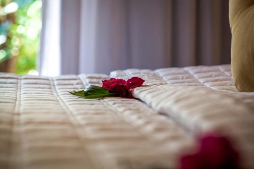 a red rose sitting on top of a bed at Sombra e Água Fresca Floresta in Pipa