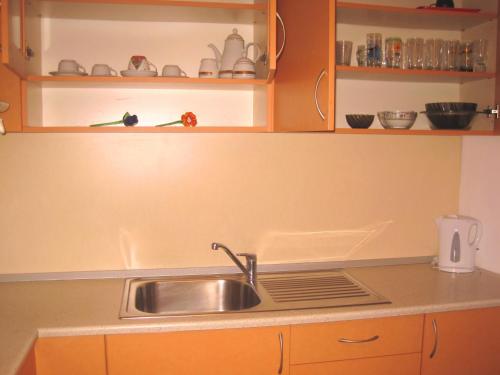a kitchen with a sink and a counter top at Apartment Nadejda in Varna City