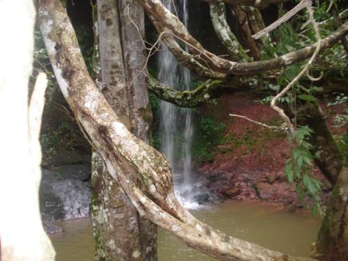 a waterfall in a forest with trees at Pousada Jardim da Chapada in Chapada dos Guimarães