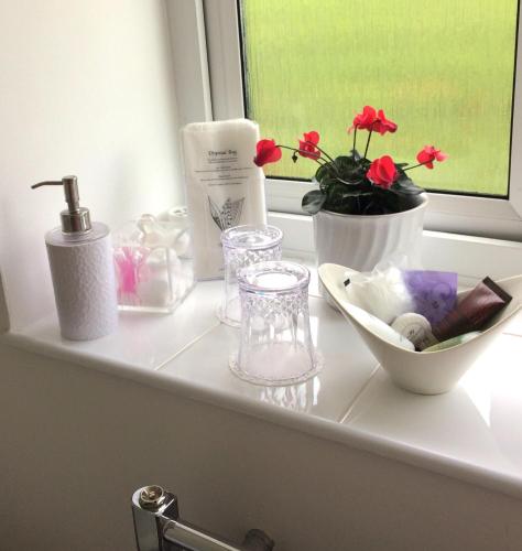a bathroom counter with a window with flowers and a sink at Meadow Lodge in Tideswell