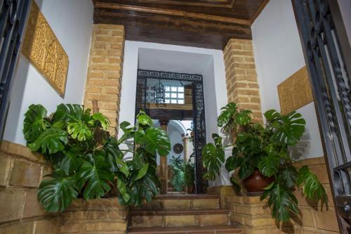 Casa Turística Patio Cordobés - Parking Judería, Córdoba ...
