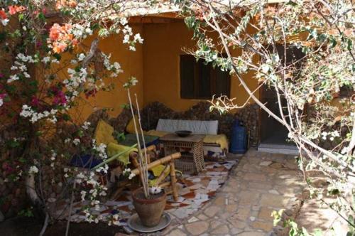 un patio con sofá, mesa y algunas flores en Jillyfish House, deine Oase in zwei Palmengärten, central am 'Lighthouse' en Dahab