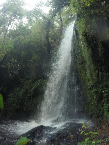 Gallery image of Cabaña de montaña La Magnolia, Cerro de la Muerte De La Cañuela Cloud Forest in Tres de Junio