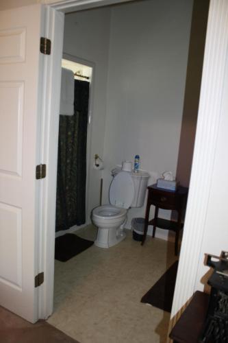 a bathroom with a toilet and a shower at Woodrow House Bed & Breakfast in Lubbock