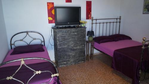 a bedroom with two beds and a tv on a dresser at Amazing View Dream House in Chora Folegandros