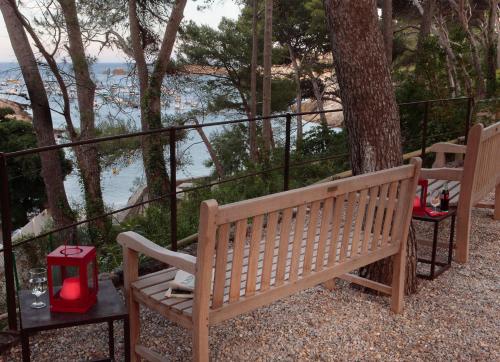 a wooden bench sitting next to a tree near the water at Hostal Sa Rascassa in Begur