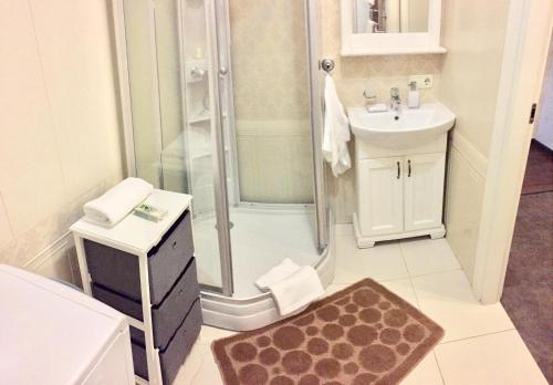 a bathroom with a shower and a sink at Apartment in the Centre of City in Dnipro
