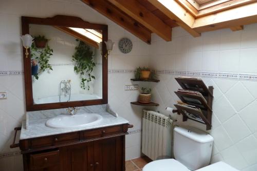a bathroom with a sink and a mirror and a toilet at La Casa de Bernuy in Bernúy de Porreros