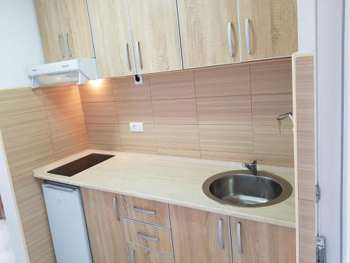 Kuchyň nebo kuchyňský kout v ubytování Apartmani Vila Ebra