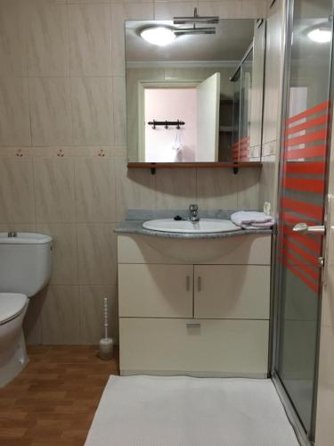 een badkamer met een wastafel, een toilet en een spiegel bij Estudio-Molino Blanco in Puerto de la Cruz
