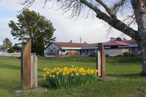 a garden with yellow daffodils in front of a house at Mariners Cove Inn in Westport