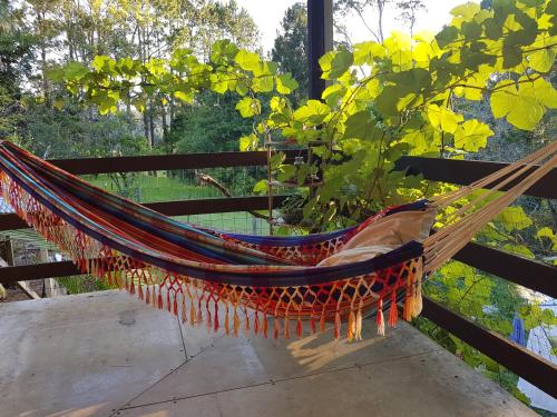 a hammock on a porch with a plant at Freida - Historic Farmhouse Bellingen in Gleniffer