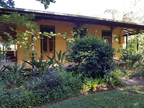 a yellow house with plants in front of it at Freida - Historic Farmhouse Bellingen in Gleniffer