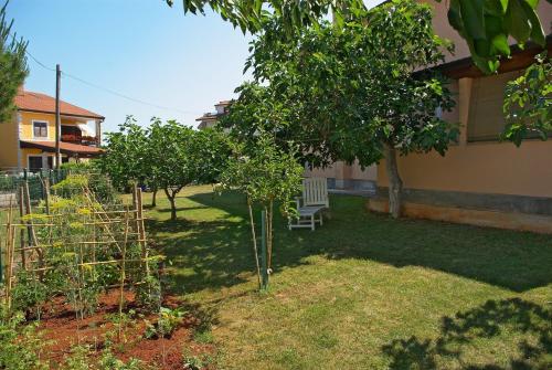 a garden with trees and a bench next to a house at Apartments & Rooms BARBARA in Umag
