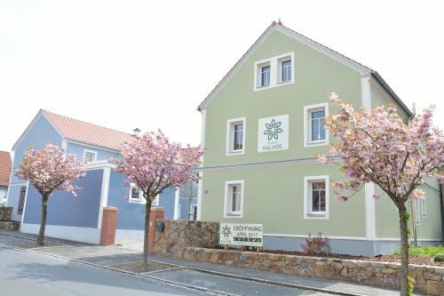 a building with trees in front of it at Pension Kalinde in Weinböhla