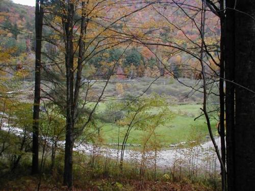 a view of a river in a field with trees at Mountain Valley Retreat in Killington