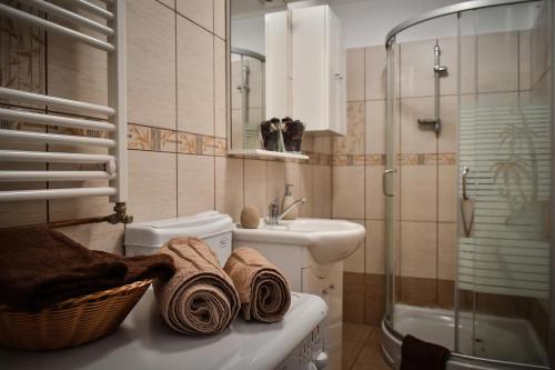 Et badeværelse på Spacious Stylish Apartment in Old Town