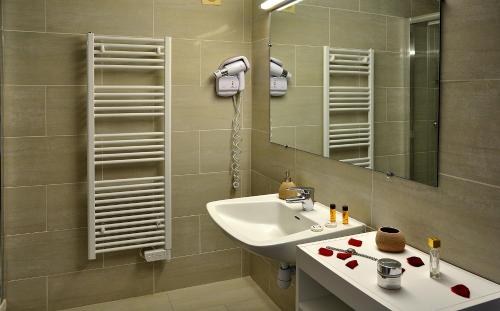 La salle de bains est pourvue d'un lavabo et d'un miroir. dans l'établissement Castel de Vergio, à Albertacce