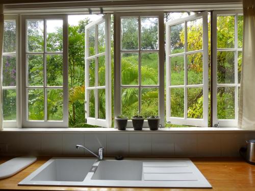 a kitchen window with potted plants on a window sill at The Stables in Cooroy