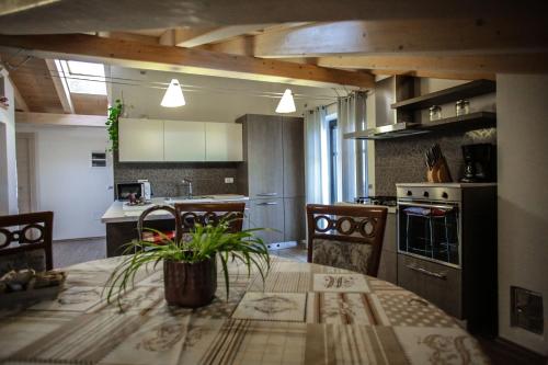 eine Küche mit einem Tisch und einer Pflanze darauf in der Unterkunft Casa De Val in Calceranica al Lago