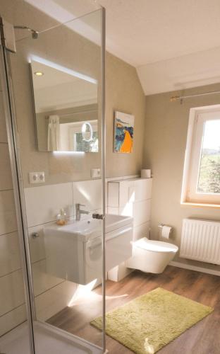a bathroom with a sink and a toilet and a mirror at Landhaus-Lässig in Soltau