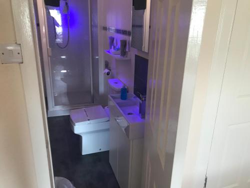 a bathroom with a sink and a toilet and a shower at Beechwood Ensuite Guest House in Ayr
