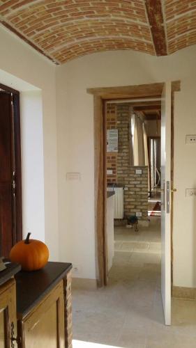 a kitchen with a pumpkin on top of a counter at Lodela in Lo-Reninge
