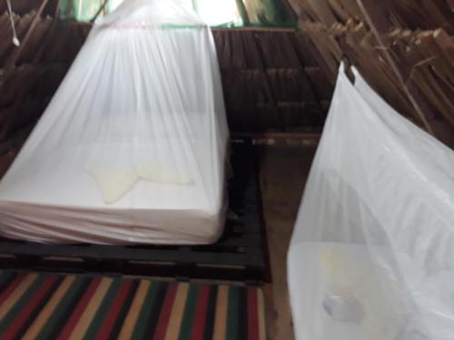 Una cama o camas en una habitación de Hostel Cattleya