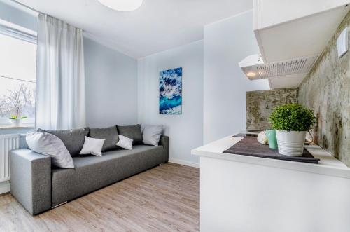 a living room with a couch and a window at Apartamenty Novomiejska 17 in Lublin