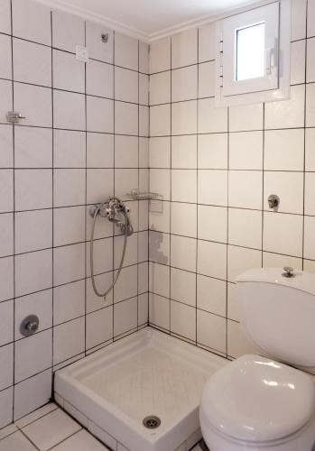 a bathroom with a shower and a toilet and a sink at BLEU- VERT in Prinos