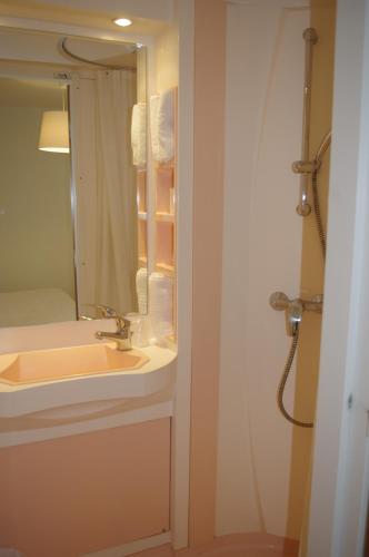 uma casa de banho com um lavatório e um espelho em Hôtel Rapin em Portets