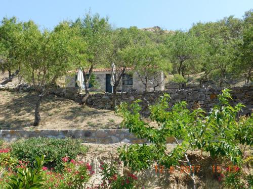 a garden with trees and a stone wall at Stone cottage for couple in Thános