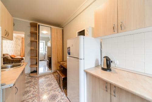 eine Küche mit einem weißen Kühlschrank und einer Spüle in der Unterkunft Квартира по улице Цитадельная, 9 in Kiew