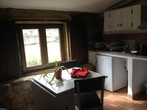 a kitchen with a table with a plant on it at Quinta Damigo in Seia