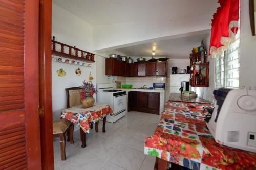 Kuchyň nebo kuchyňský kout v ubytování Villa Antonia 16