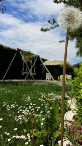 a dandelion in a field of grass with a building at La Casa di Linda in Mirano