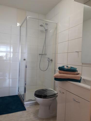 a bathroom with a shower and a toilet with a glass door at FeWo Lilly in Willingen