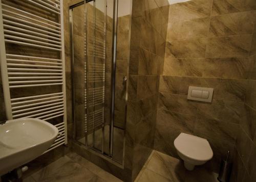 a bathroom with a shower and a toilet and a sink at Penzion Na Americe in Nové Jirny