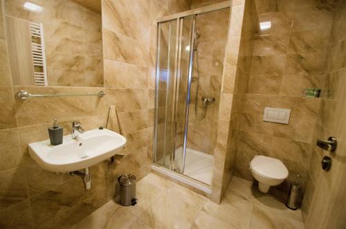 a bathroom with a shower and a sink and a toilet at Penzion Na Americe in Nové Jirny