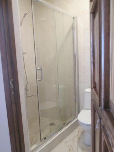 La salle de bains est pourvue d'une douche en verre et de toilettes. dans l'établissement Apartment Mandarina, à Kobuleti