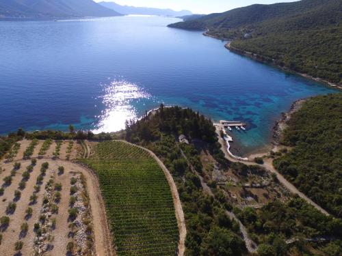an aerial view of a lake with a boat in the water at Apartment Stanisic in Korčula