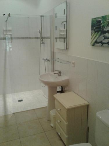 une salle de bain avec un lavabo, une douche et des toilettes dans l'établissement L'Hégoa, à Montpellier-de-Médillan