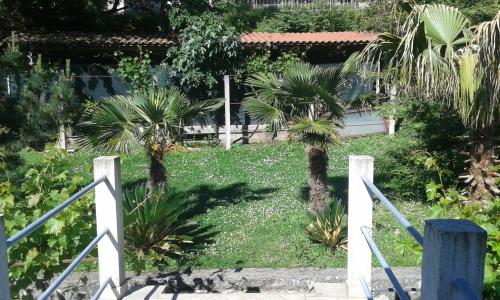 a garden with palm trees and a white fence at Apartment Sasha in Kotor