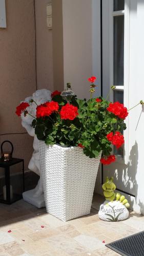 a white vase filled with red flowers on a table at Majláth Vendégház in Bük