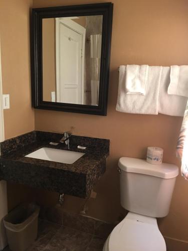 a bathroom with a sink and a toilet and a mirror at Budget Inn LAX-Lawndale in Lawndale
