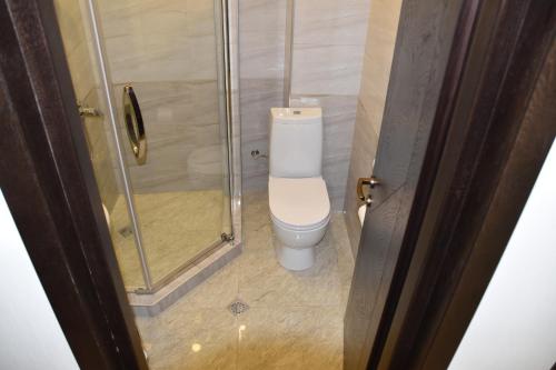 a bathroom with a toilet and a glass shower at SaBa Apartments in Old Tbilisi in Tbilisi City